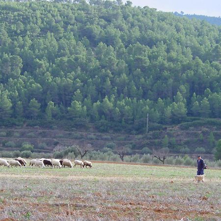 La Bodega Enoturismo Rural Mogente Eksteriør billede