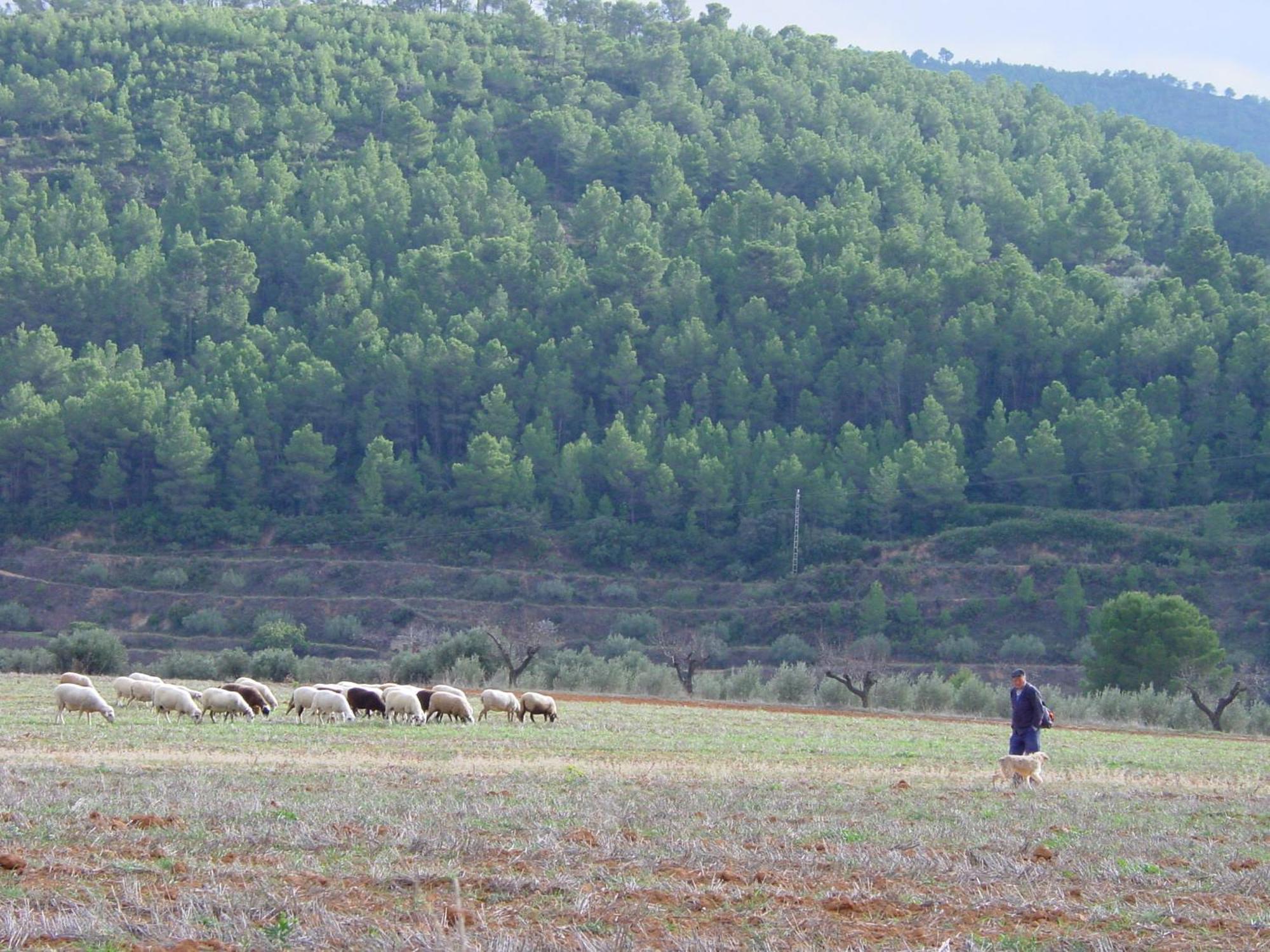 La Bodega Enoturismo Rural Mogente Eksteriør billede
